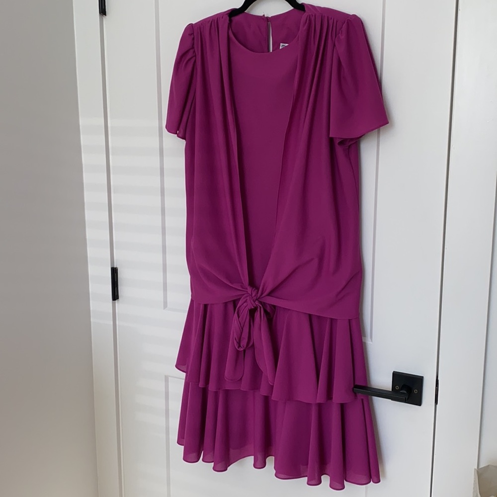 Vintage T Fe Magenta Drop Waist Dress - Picture 2 of 14